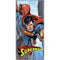 DC Comics Superman Flying Pose Galaxy Note 10 Skin
